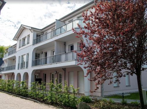 screen_shot_2022-08-18_at_8