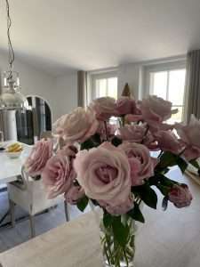 Mehr über den Artikel erfahren Traumurlaub, bei Freunden