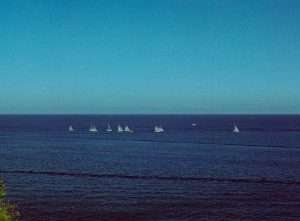 Mehr über den Artikel erfahren Wustrower Zeesbootregatta  01.07.2023