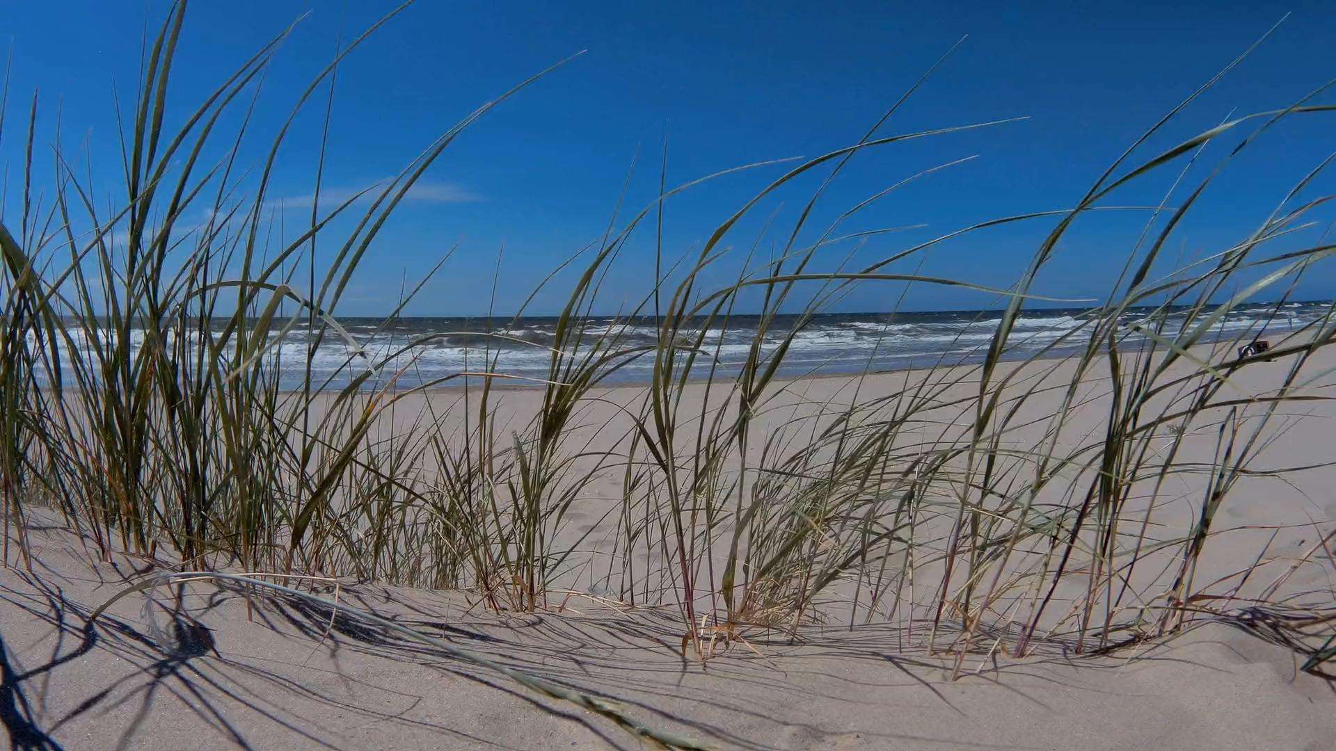 Mehr über den Artikel erfahren Ostseebad Wustrow